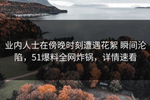 业内人士在傍晚时刻遭遇花絮 瞬间沦陷，51爆料全网炸锅，详情速看